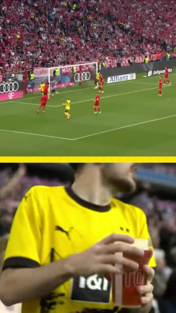 勇者無(wú)懼！這是真多特球迷！在拜仁球迷區(qū)一個(gè)人肆意慶祝！